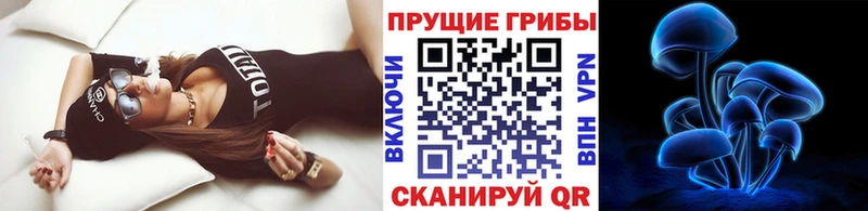 Псилоцибиновые грибы Magic Shrooms  Купить где  Реутов 